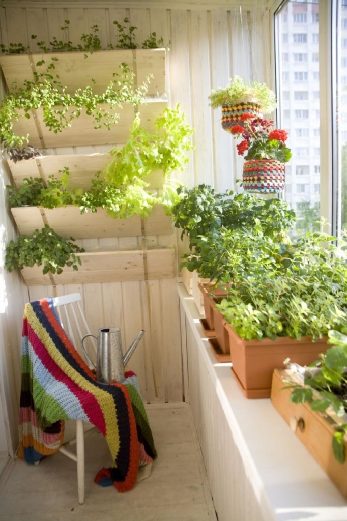 vegetable plant in green balcony design as green wall 682x1024 - Mảng xanh cho căn hộ có diện tích nhỏ