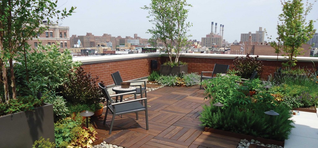 interesting rooftop garden design ideas 1024x478 - Vườn trên mái - kiến trúc nhiều điều lợi cho nhà phố