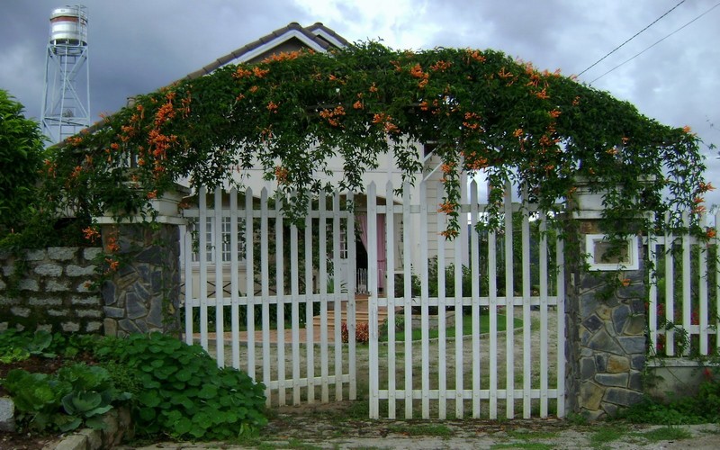 nha dep13 - Kiểu nhà đẹp với cổng hợp phong thủy