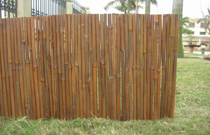hang rao dep 2a - Các kiểu hàng rào đẹp cho ngôi nhà của bạn