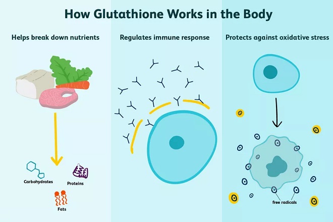 hoạt động của Glutathione trong cơ thể