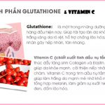thanh phan glutathione va vitamin c trong vien uong hanvely 150x150 - Top 10 phim thần tượng Hàn Quốc hay nhất mọi thời đại