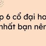 top 6 co dai hoan hay nhat ban nen doc 150x150 - Top 7 truyện gương vỡ lại lành đáng đọc nhất